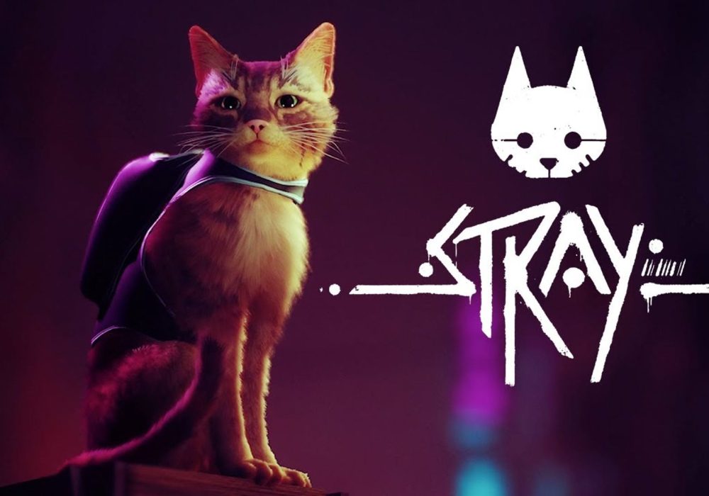 STRAY